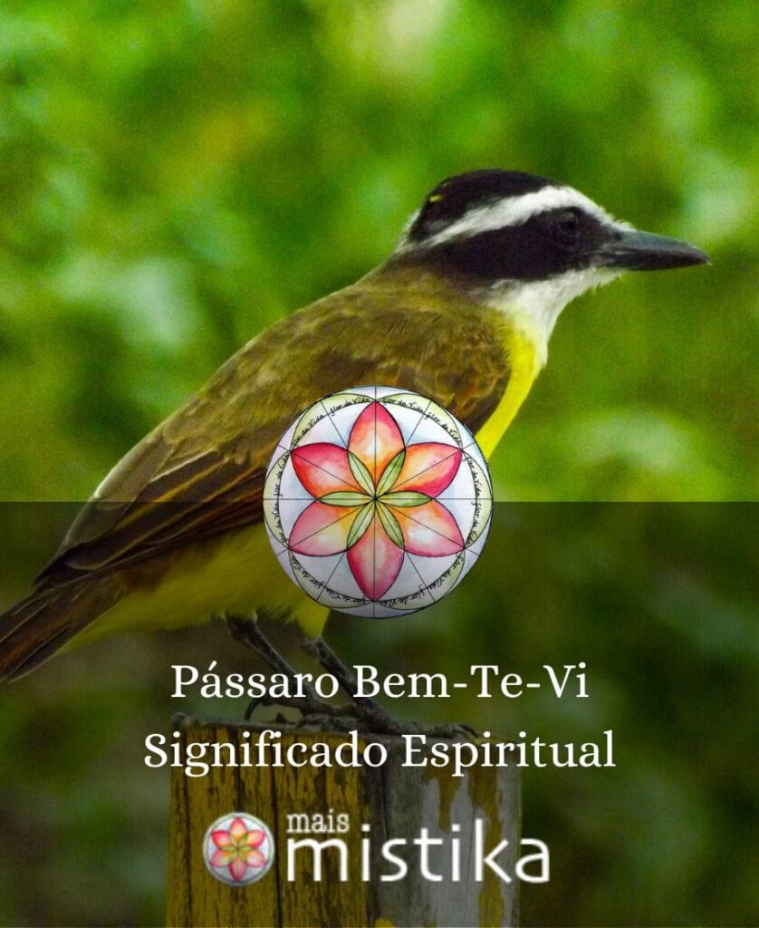 7 Significados Espirituais do Pássaro Bem te vi