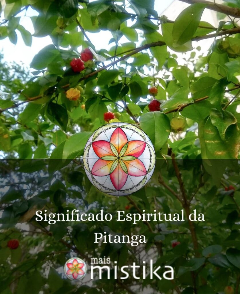Significado Espiritual da Pitanga