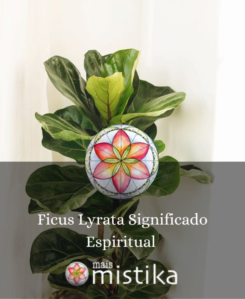 ficus lyrata significado espiritual