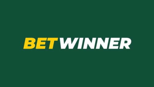 Everything You Need to Know About BetWinner Support 1